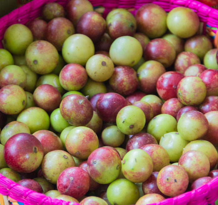 Camu Camu Berries