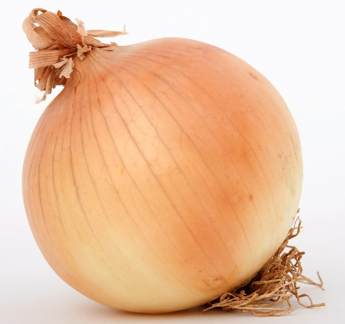 Onion