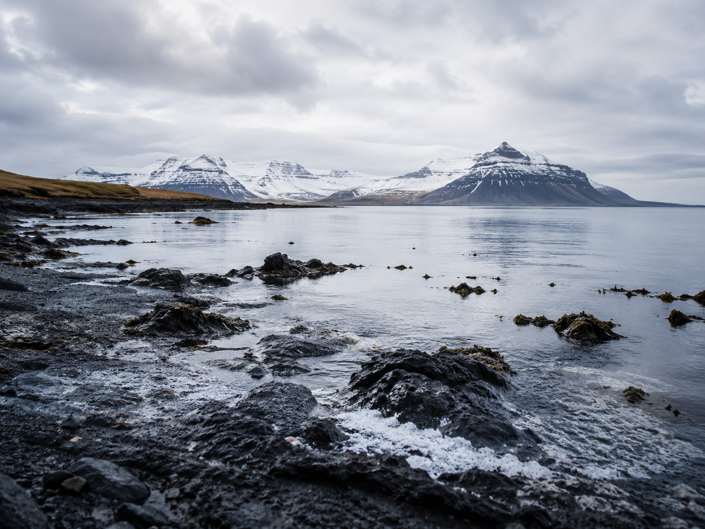 Icelandic Sea Salt / Sal marinum Islandicum