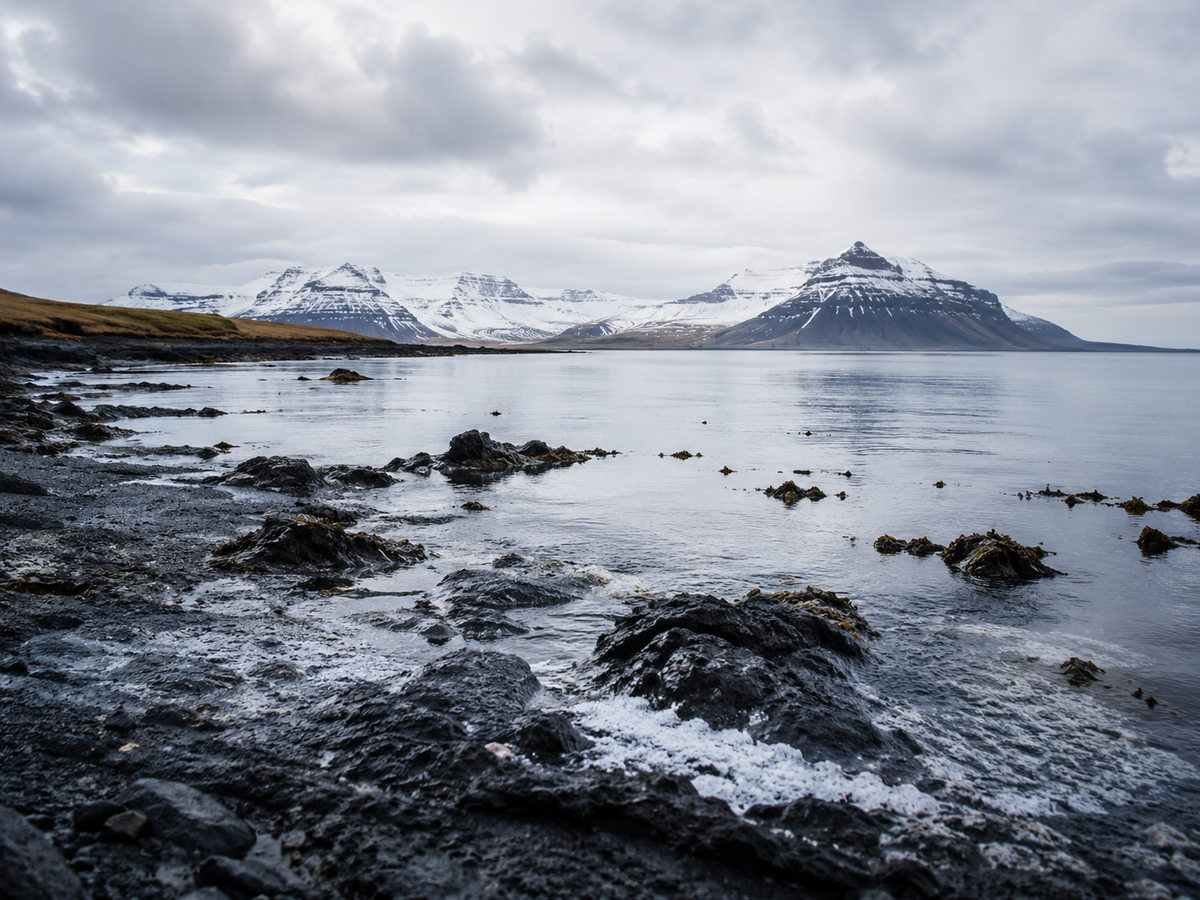 Icelandic Sea Salt / Sal marinum Islandicum