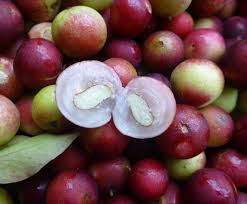 Close up op camu camu berries