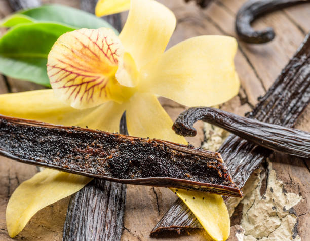 Vanilla bean powder with a vanilla flower