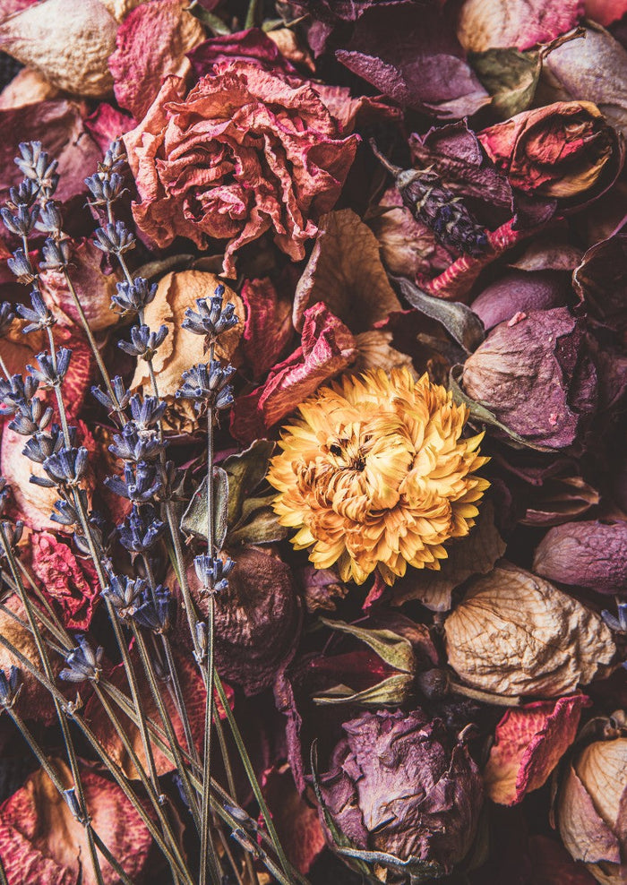 A collection of flowers and botanicals