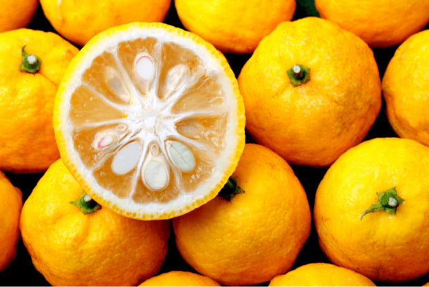 Fresh cut yuzu fruit