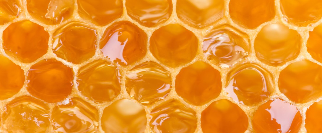 Honey