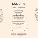 KAIJU-N |  Japanese Fusion Cajun Spice Mix