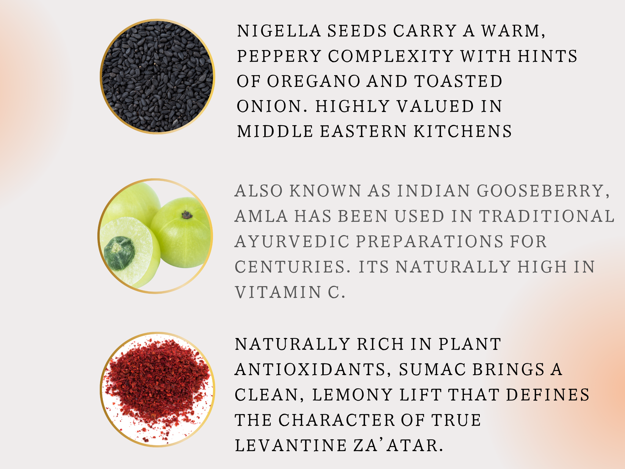Infographic about Nigella seeds, Amla, and Sumac with text and images on a gradient background.